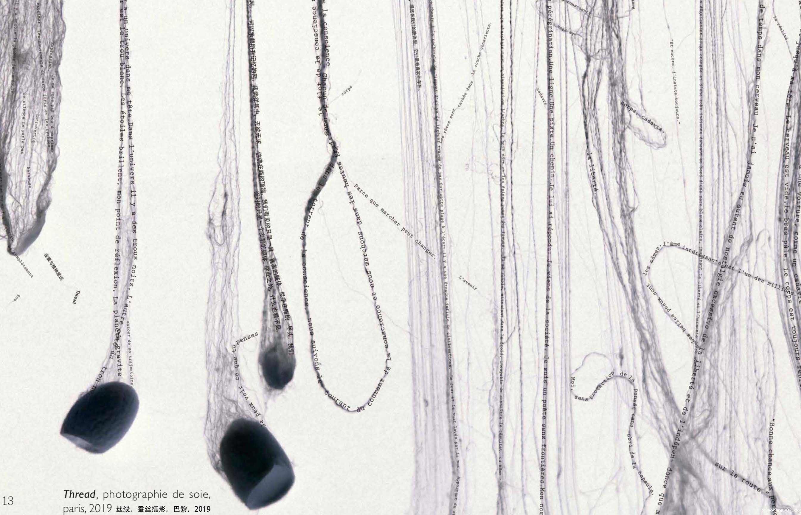 作品3.jpg 作品3.jpg