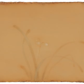 幽兰 Orchid 182×306cm  2014 布面油画 Oil on Canvas