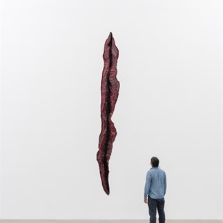 《考古学与生物学》