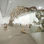 《撞墙》，2006年，Natasha Harth 摄，昆士兰美术馆暨现代美术馆提供