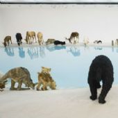 《遗产》2013年，Natasha Harth 摄，昆士兰美术馆暨现代美术馆提供