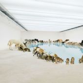 《遗产》2013年，Natasha Harth 摄，昆士兰美术馆暨现代美术馆提供