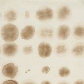 梁铨 茶和一点点咖啡（3） 2001咖啡、茶、色、墨、宣纸拼贴178×48cm