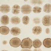 梁铨 茶和一点点咖啡（4） 2001咖啡、茶、色、墨、宣纸拼贴178×48cm