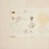 梁铨 无题 2007 茶、色、墨、宣纸拼贴 48×63cm