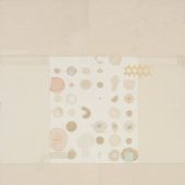 梁铨 报春 2013 茶、色、墨、宣纸拼贴100×80cm