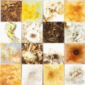 《向日葵日记》1坦培拉40×40cm×16张2010年