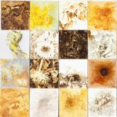 《向日葵日记》坦培拉40×40cm×32张2010年
