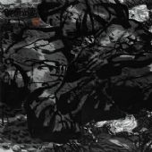 2010《仲夏之梦》180cm×600cm