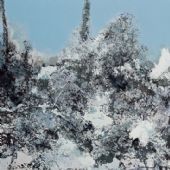 快雪-150×250cm-布面油画-2011
