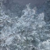 道心 布面油画 220×160cm 2014