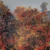 华秋 布面油画 250x325cm 2014