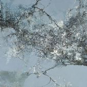 天放 布面油画 190×250cm 2014