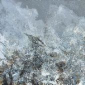 悠悠寒谷 布面油画 160×250cm 2014