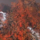 俯仰桑榆 布面油画 250x530cm 2015