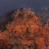 丹顶 布面油画 150x150cm 2015