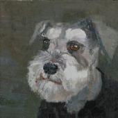 《迷茫》50×60cm 布上油画