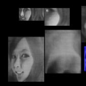 《自拍-美丽的像花一样2016.2.9》水墨6+铜版5.230x800cm.2016.蔡广斌