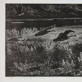 不眠的大地，80×43cm，黑白木刻，1979