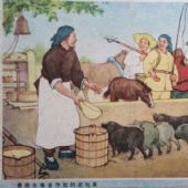 农业生产合作社的老社员-林岗 1952
