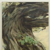 古树67x57.5cm 1980