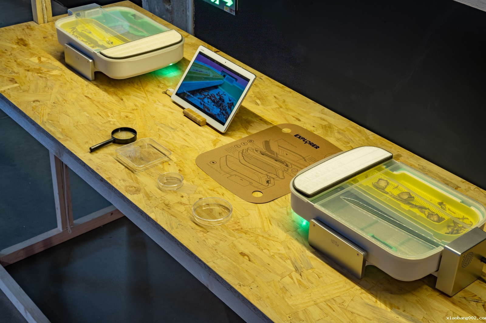 2. The Hive Explorer_1.jpg 2. The Hive Explorer_1.jpg