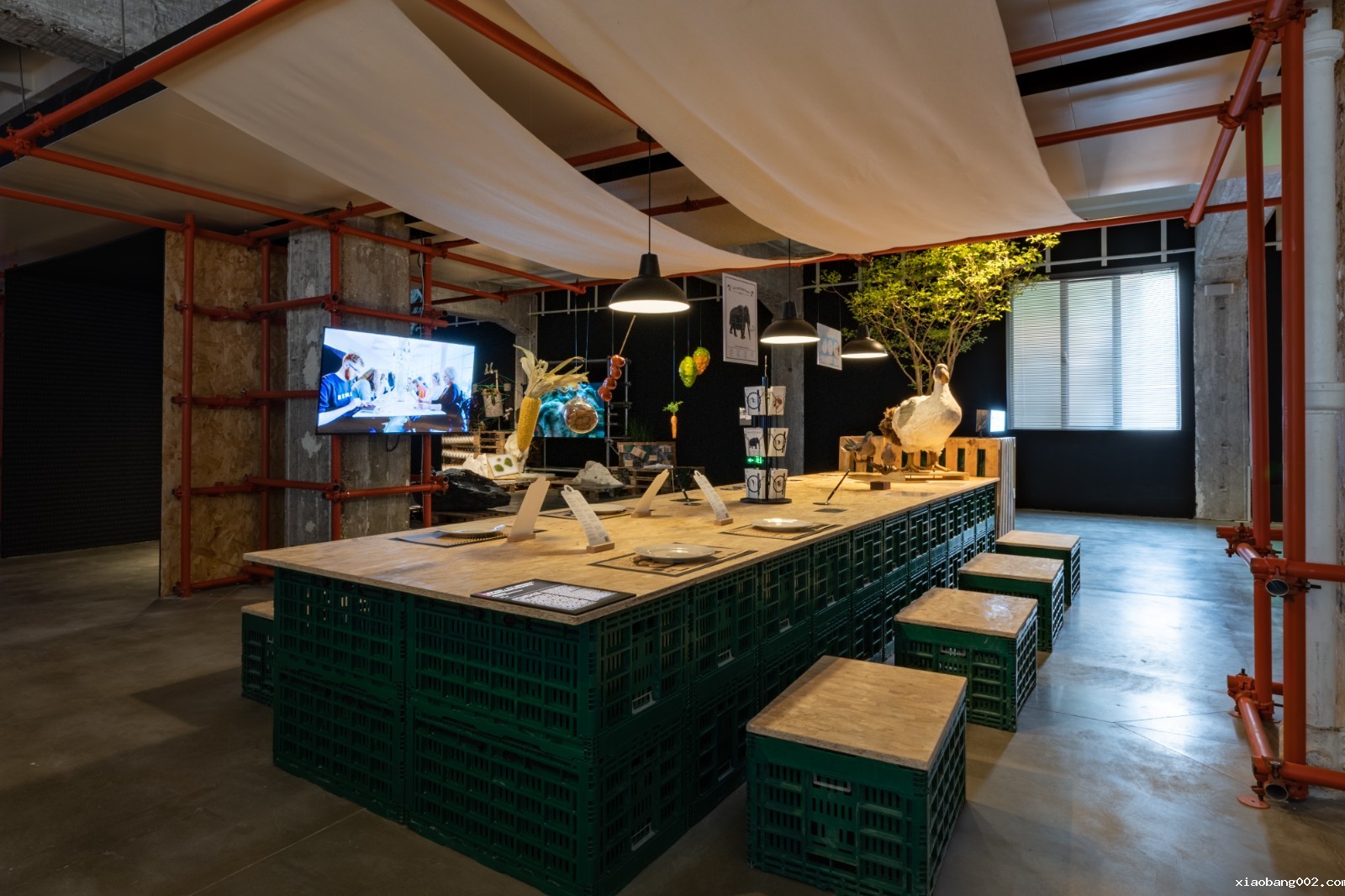 3. De-Extinction Dinner_1.jpg