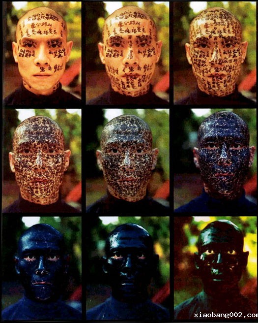 Family Tree, performance