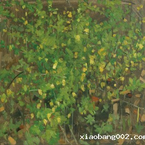 54 Yuan Yuan, Wildflowers, oil on canvas, 40 x 40 cm, 2008