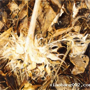 07 Kang Lei, Sunflower Diary details No.4