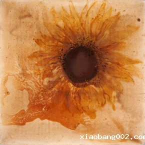 08 Kang Lei, Sunflower Diary details No.3